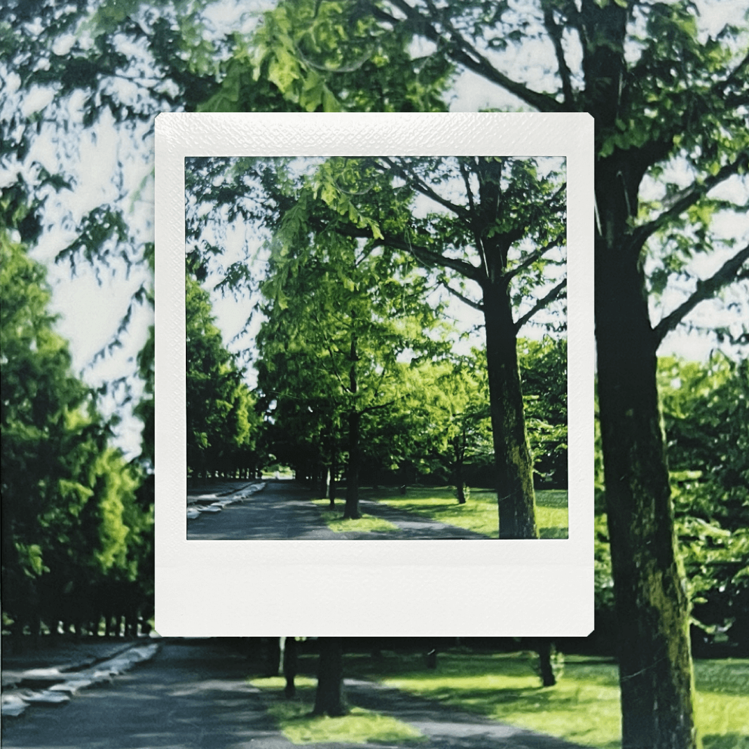 instax SQUARE SQ1　アプリ　スキャン
