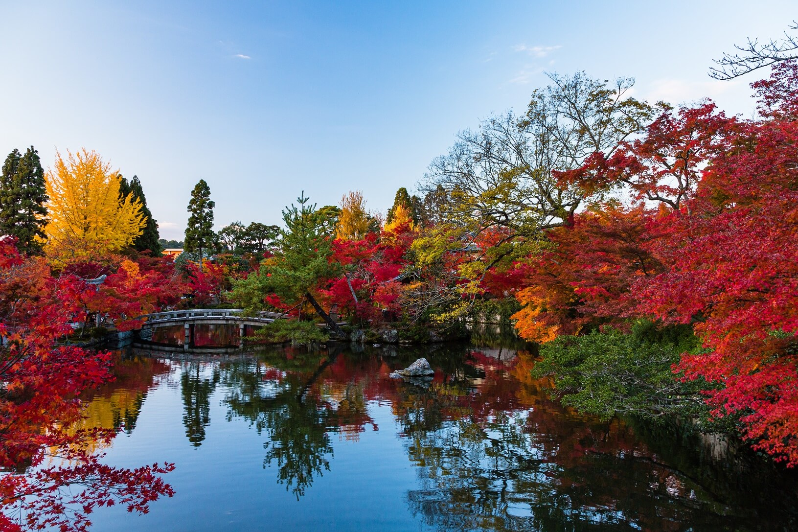 京都 紅葉