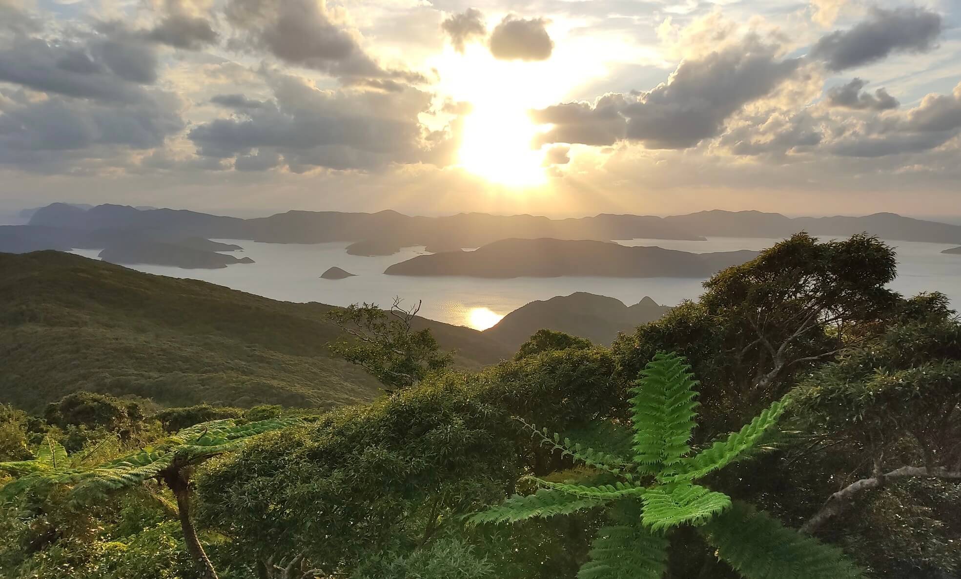 奄美大島
