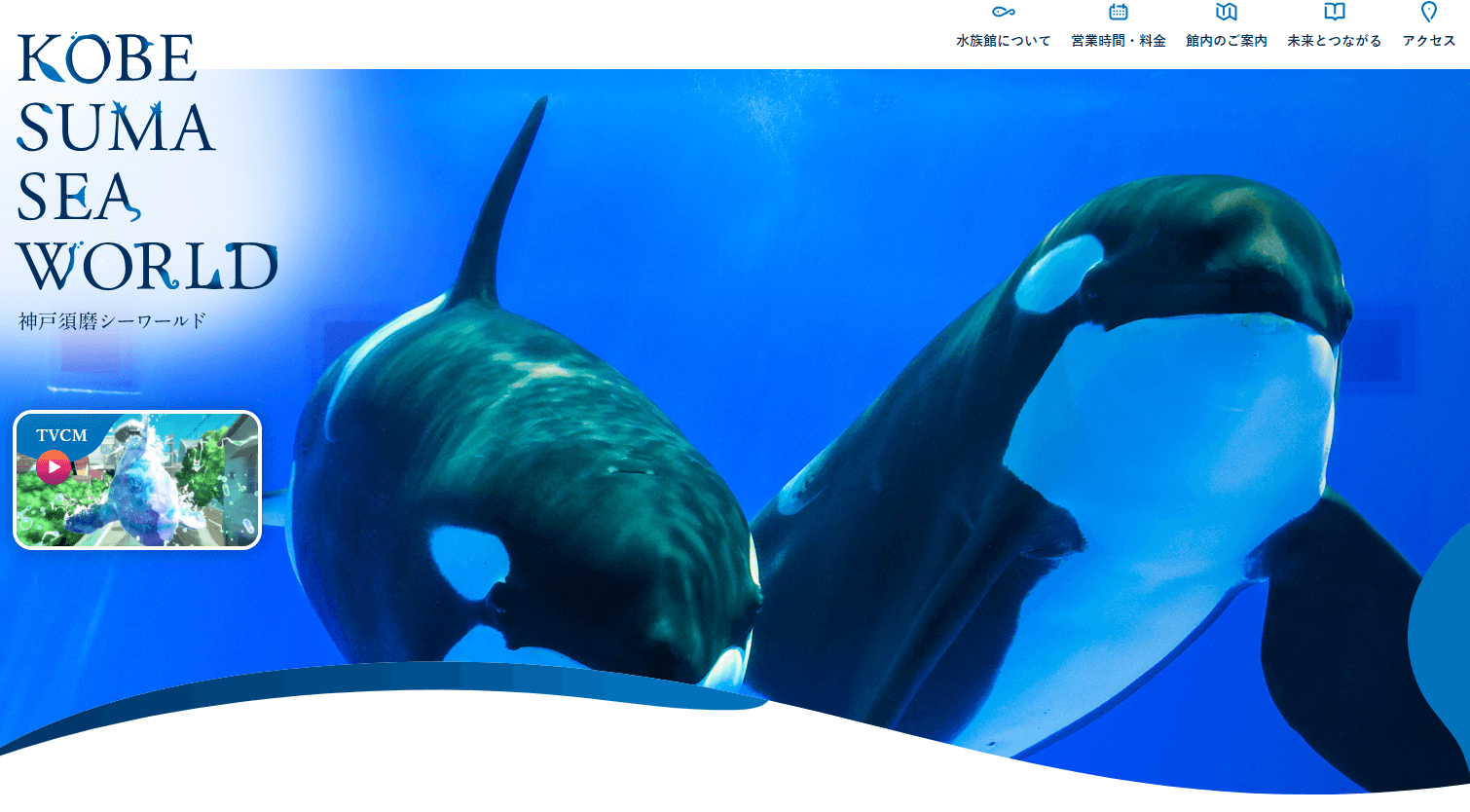 シャチ 水族館