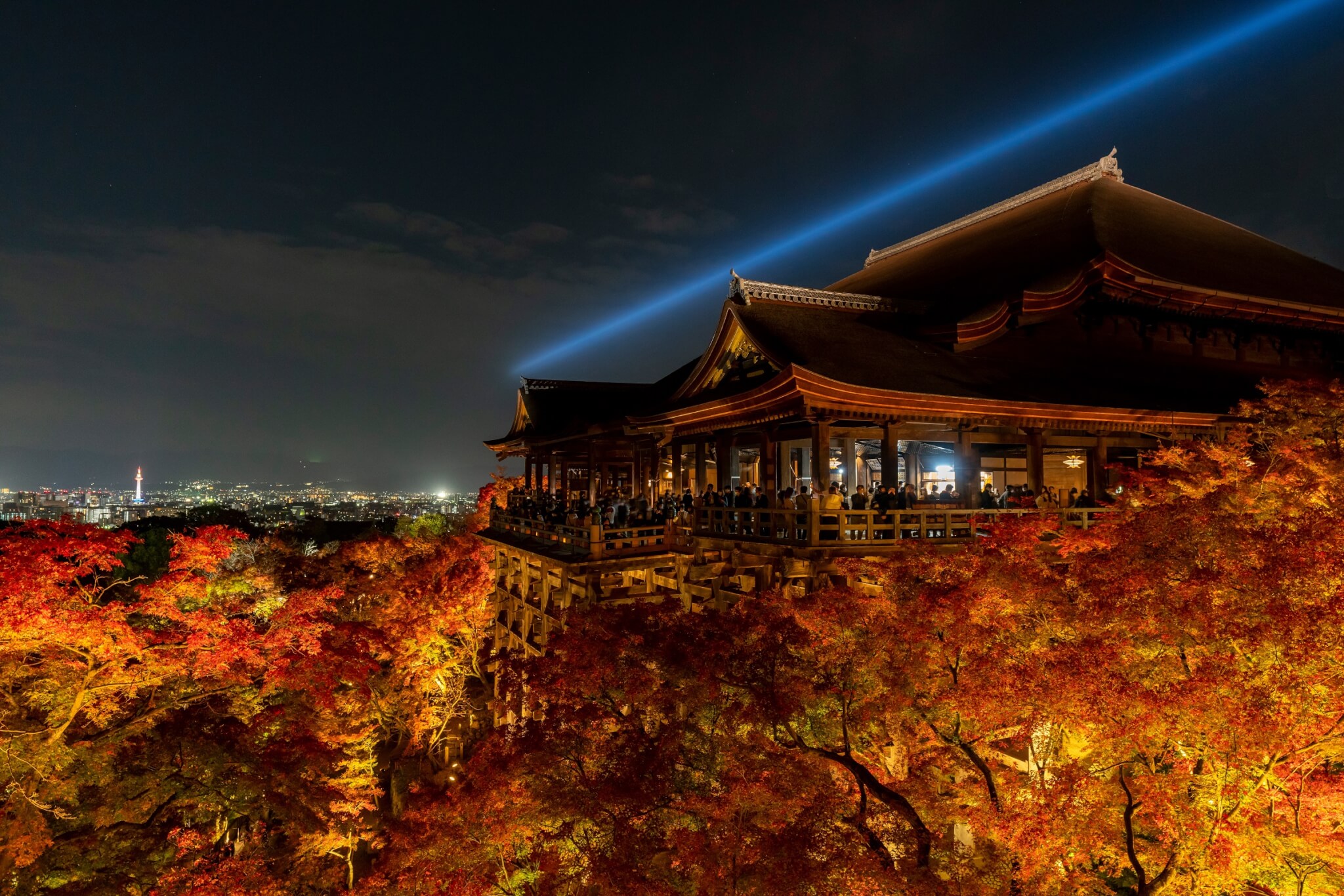 京都 紅葉