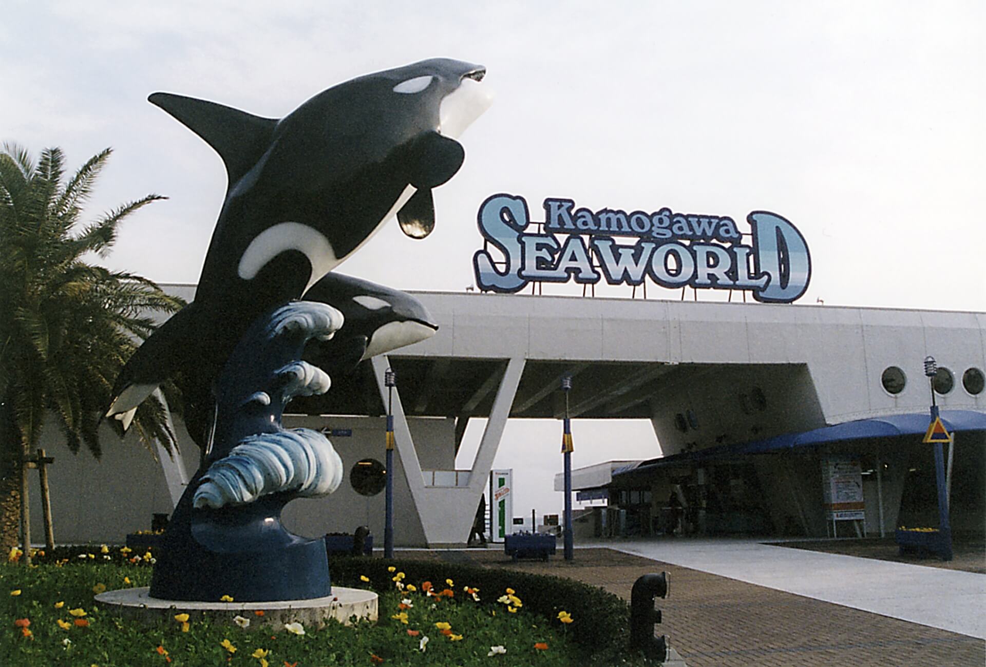 シャチ 水族館