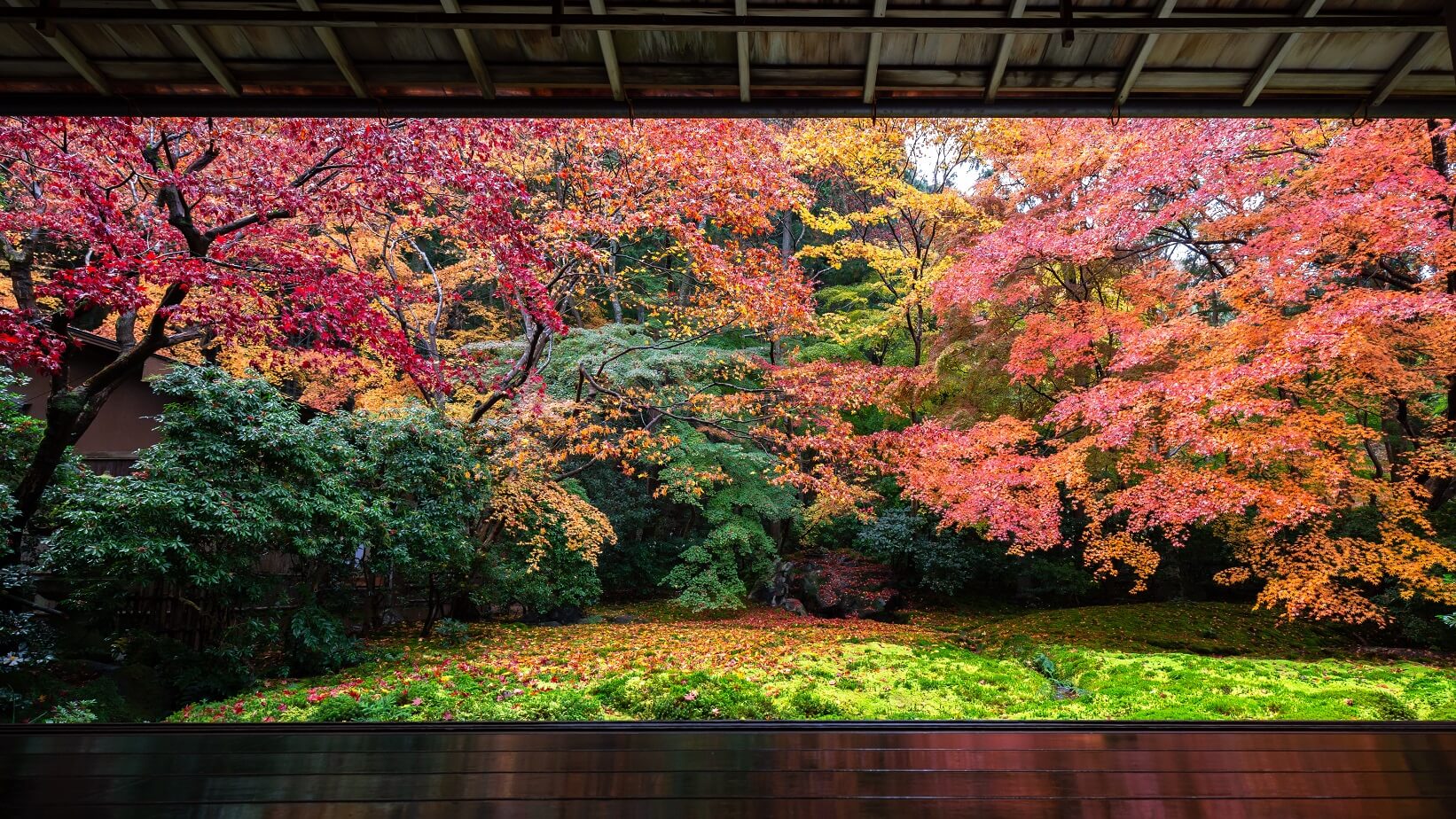 京都 紅葉