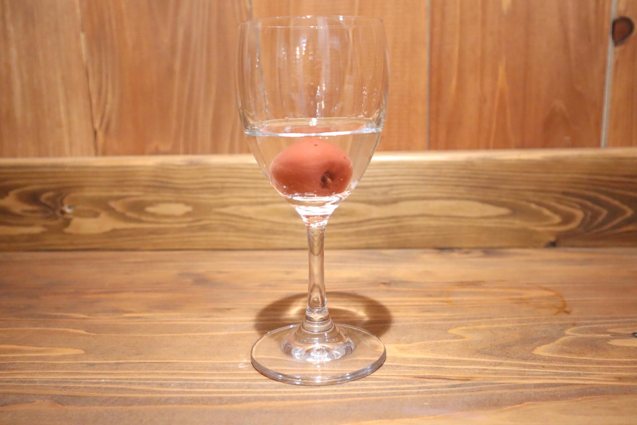 日本酒カクテルレシピ一覧 サケティーニ