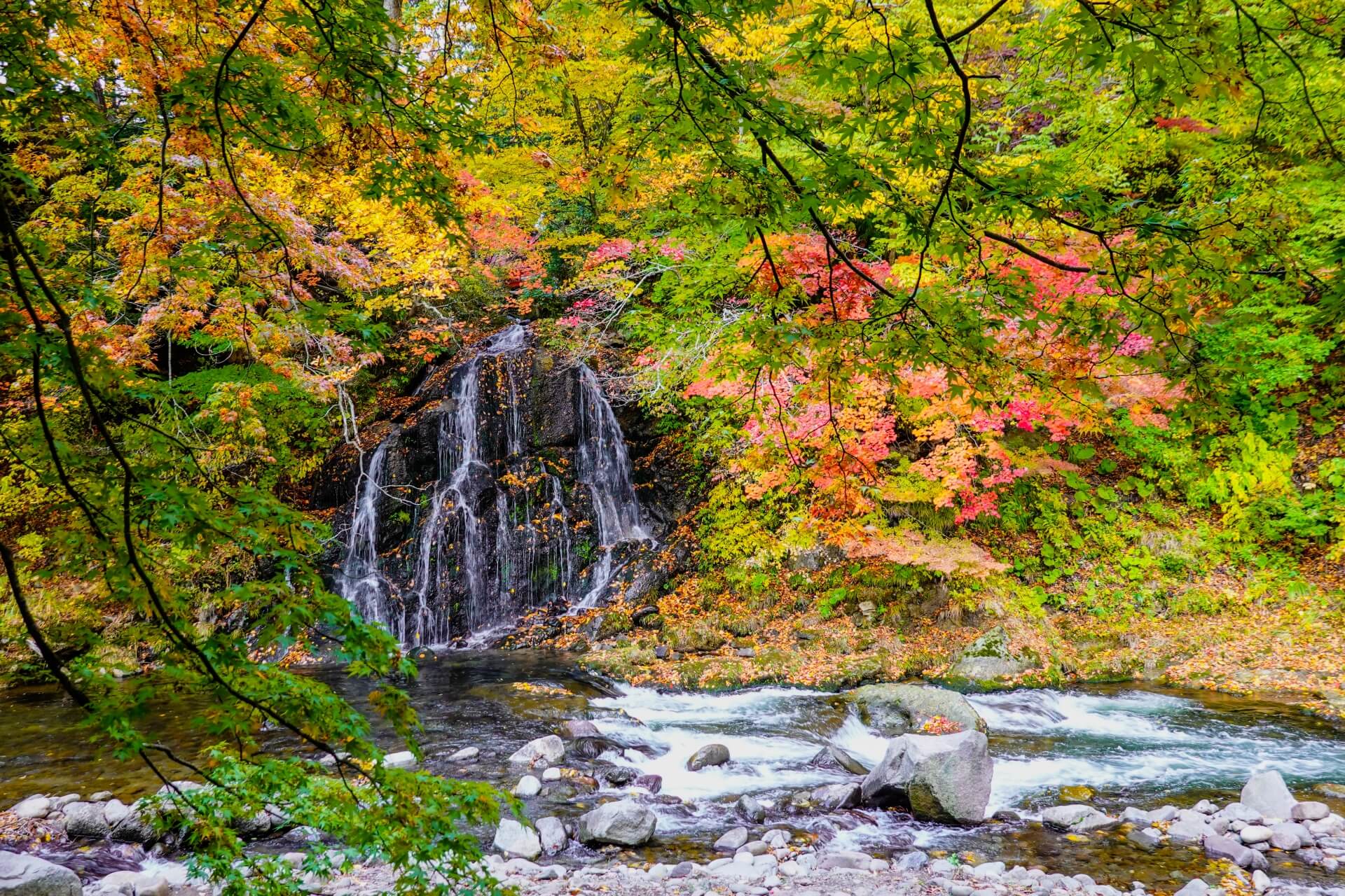 紅葉