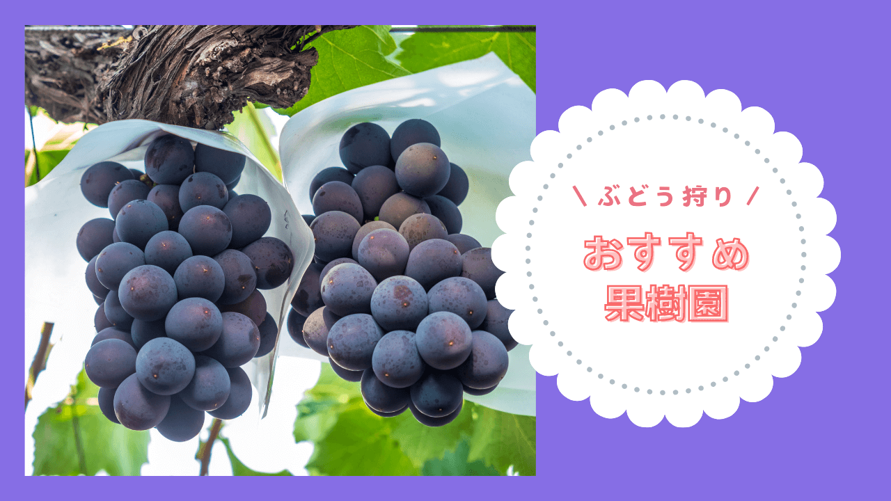 ぶどう狩りのおすすめ果樹園10選