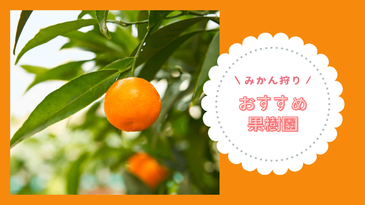 みかん狩りのおすすめ果樹園10選