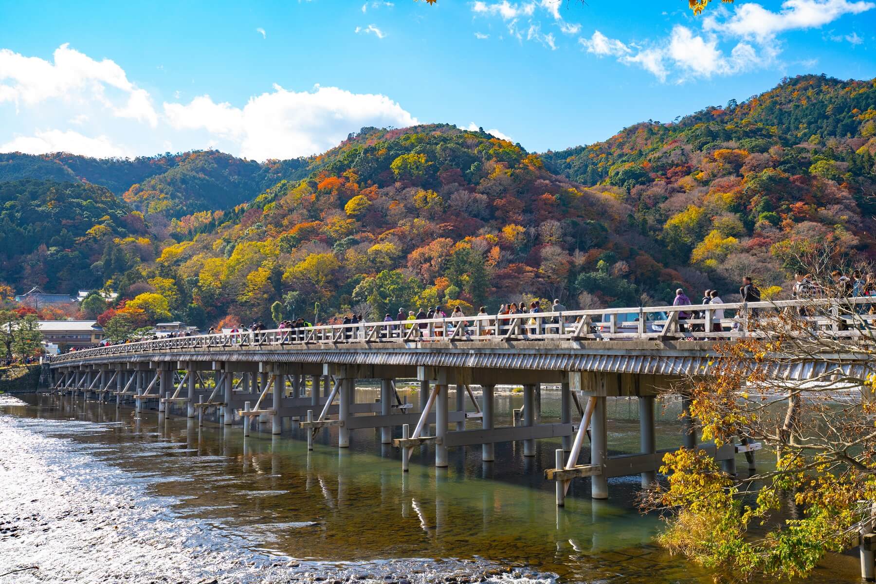 京都 紅葉