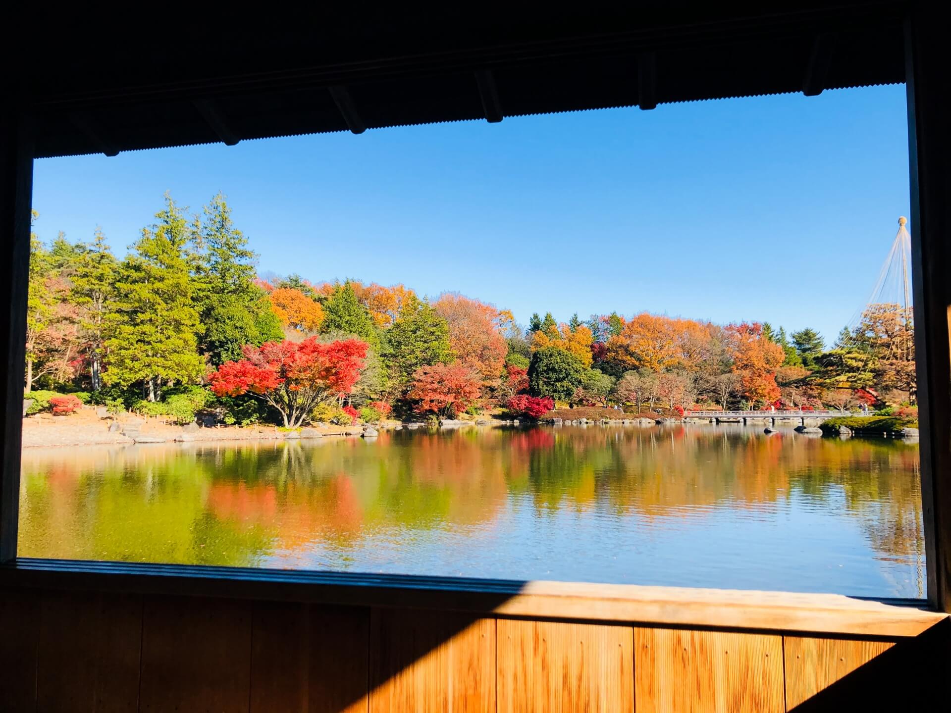 関東 紅葉