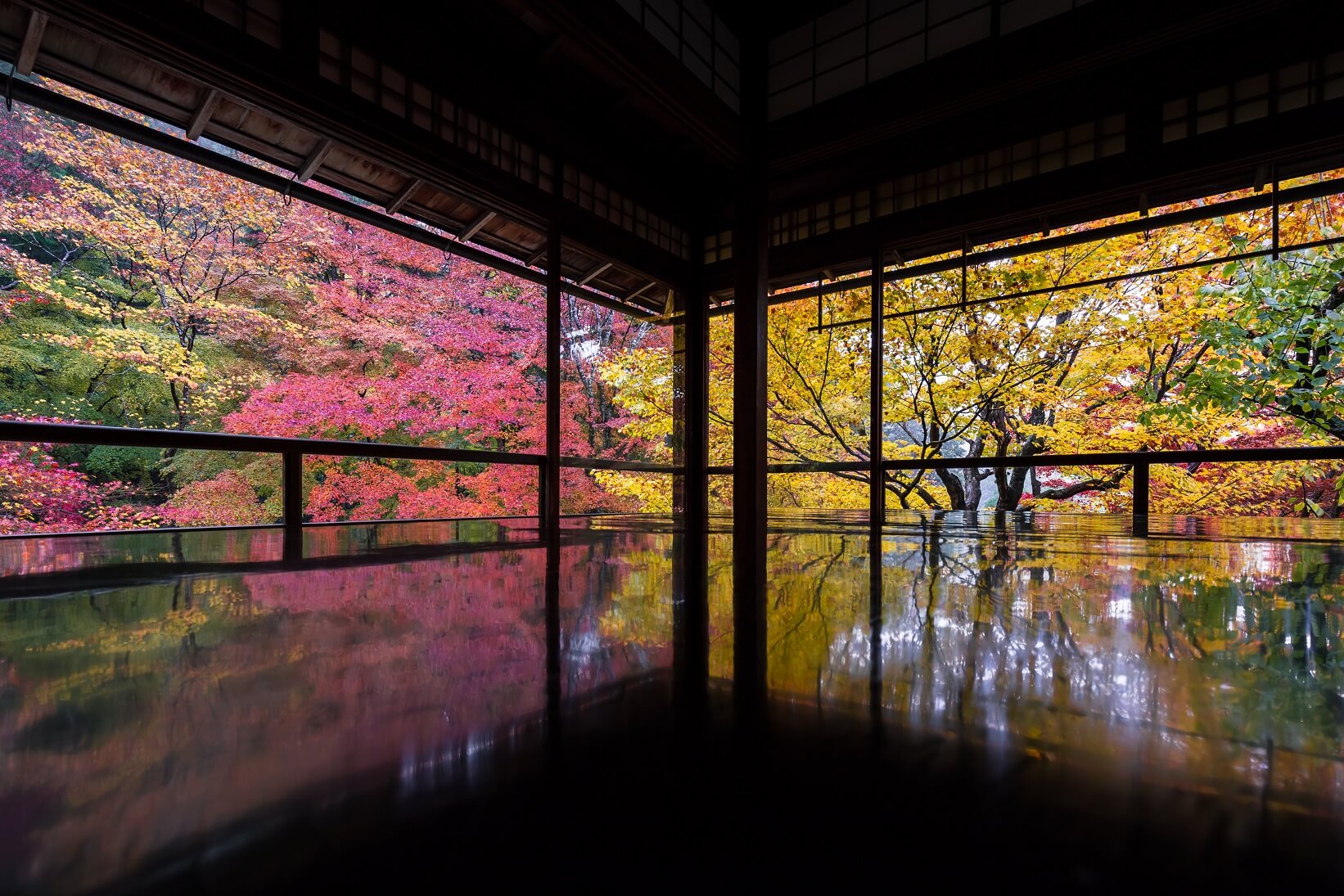 京都 紅葉