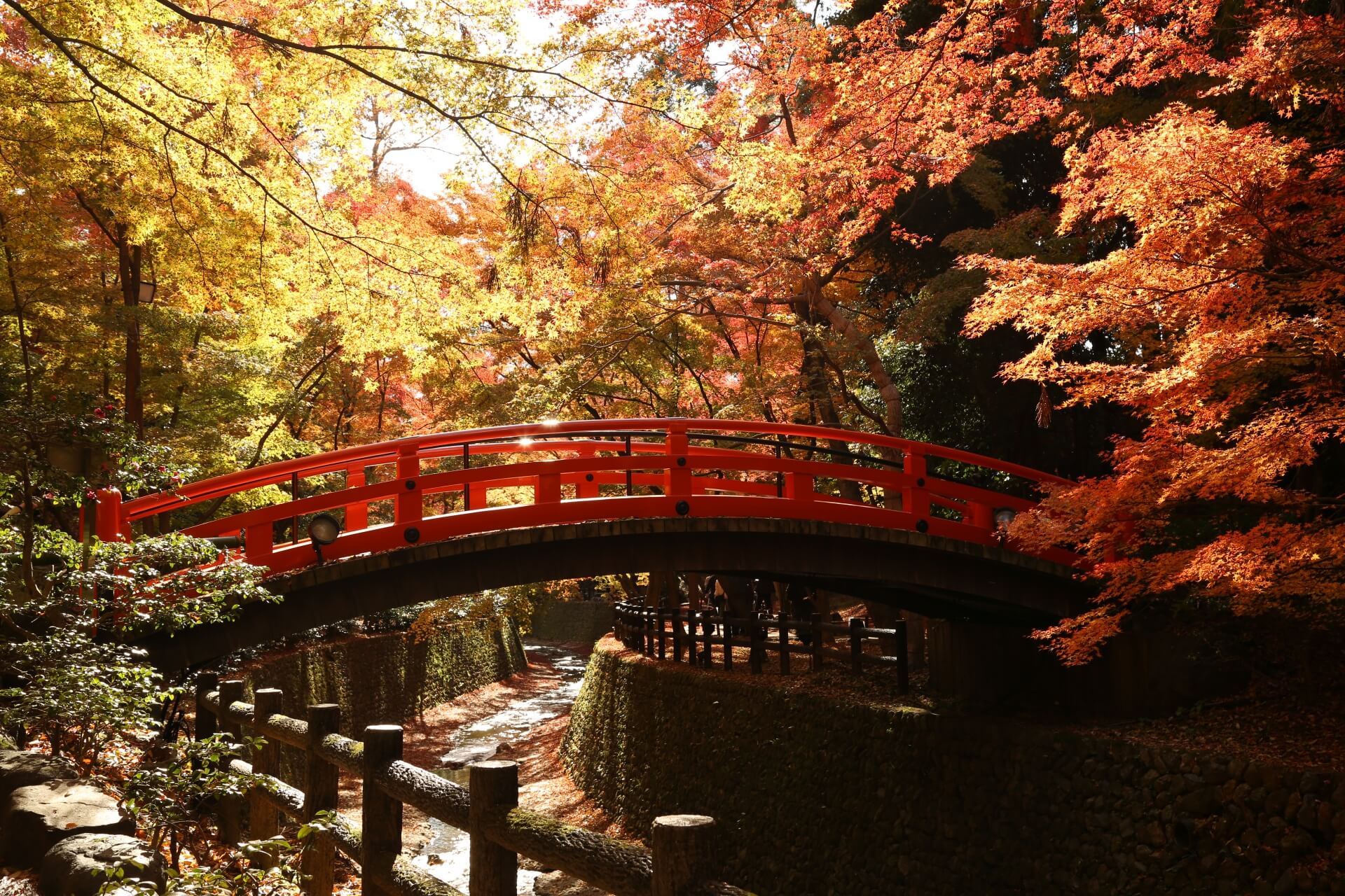 京都 紅葉