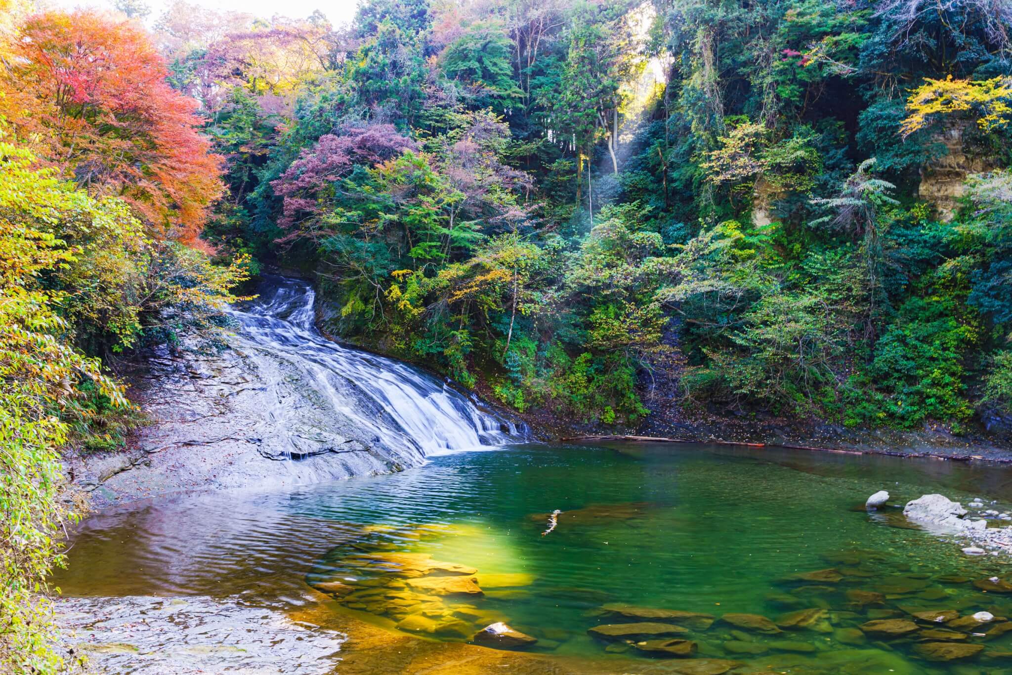 紅葉 関東