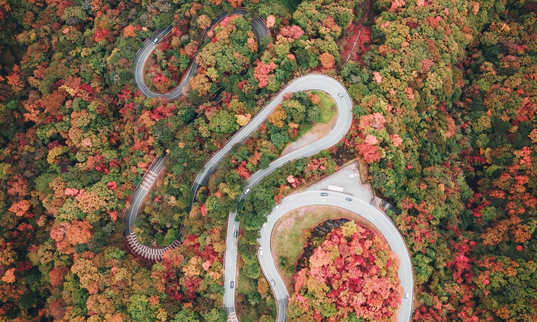 関東 紅葉