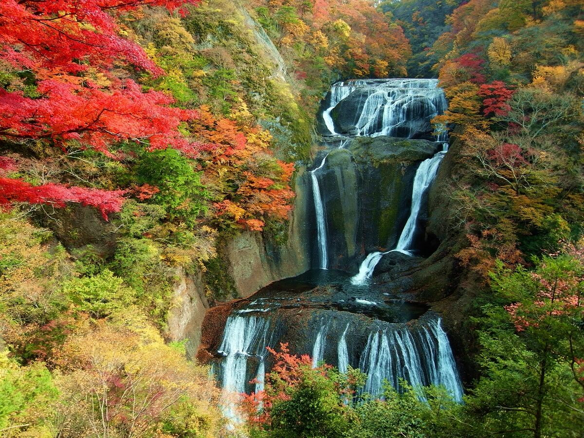 関東 紅葉