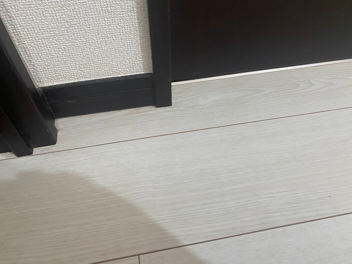 掃除をしたあとのドアの前の様子