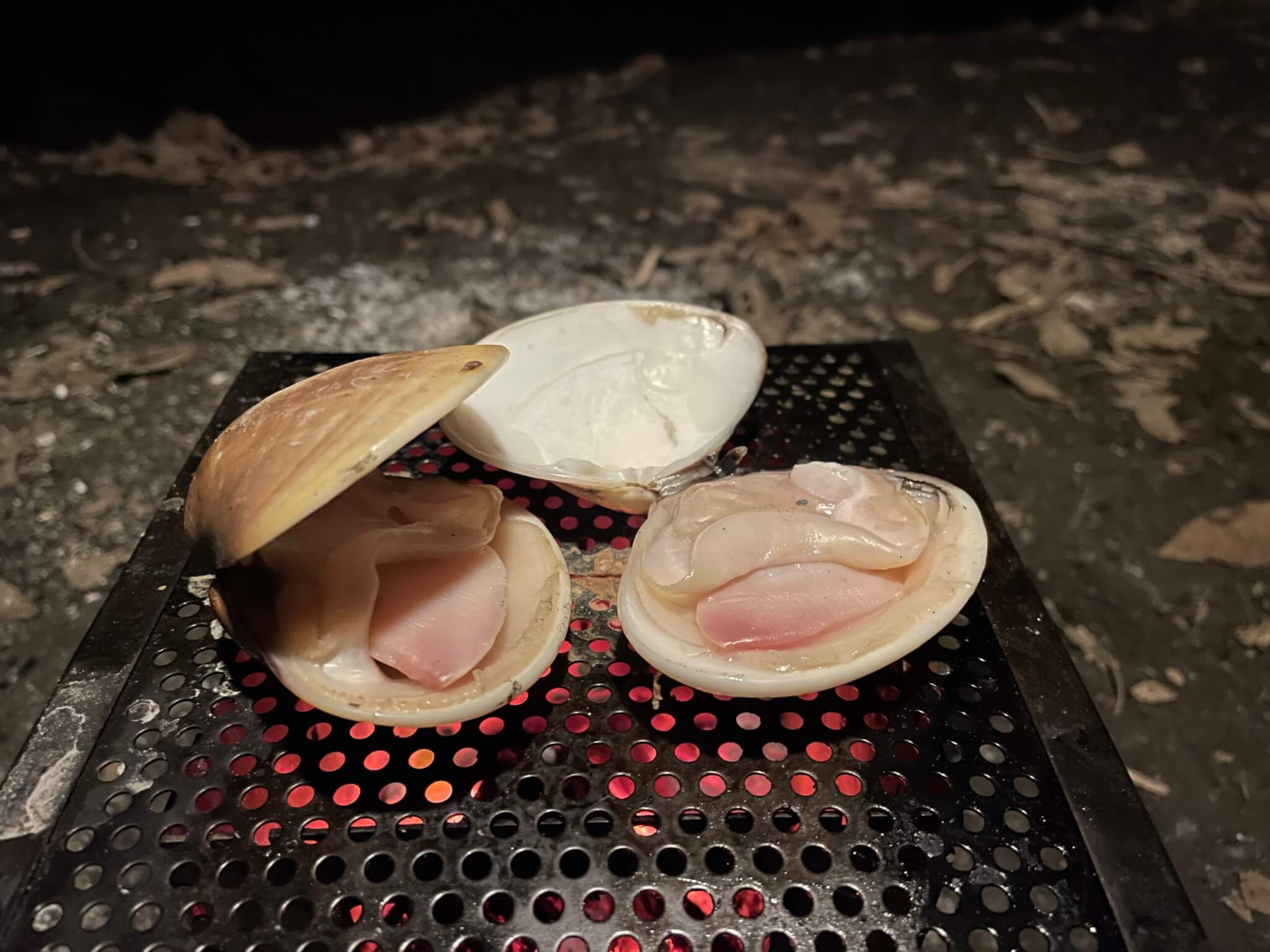 料理写真4