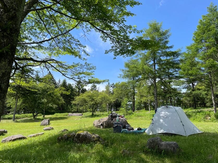 suwa.c.site1