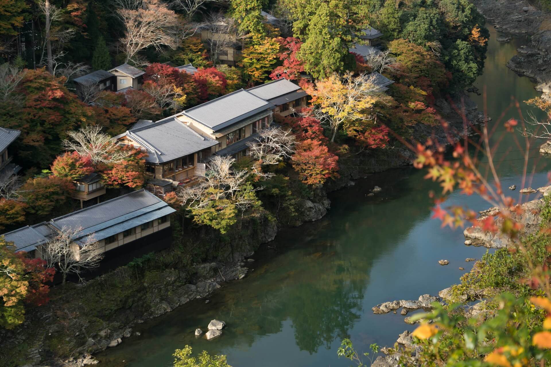 京都 紅葉