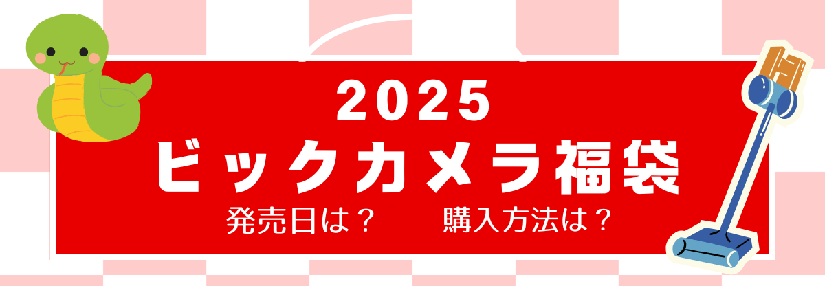 2025福袋 ビックカメラ　発売日