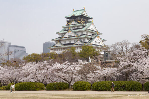 大阪城公園