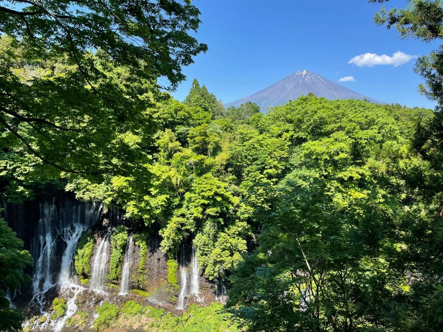 富士五湖