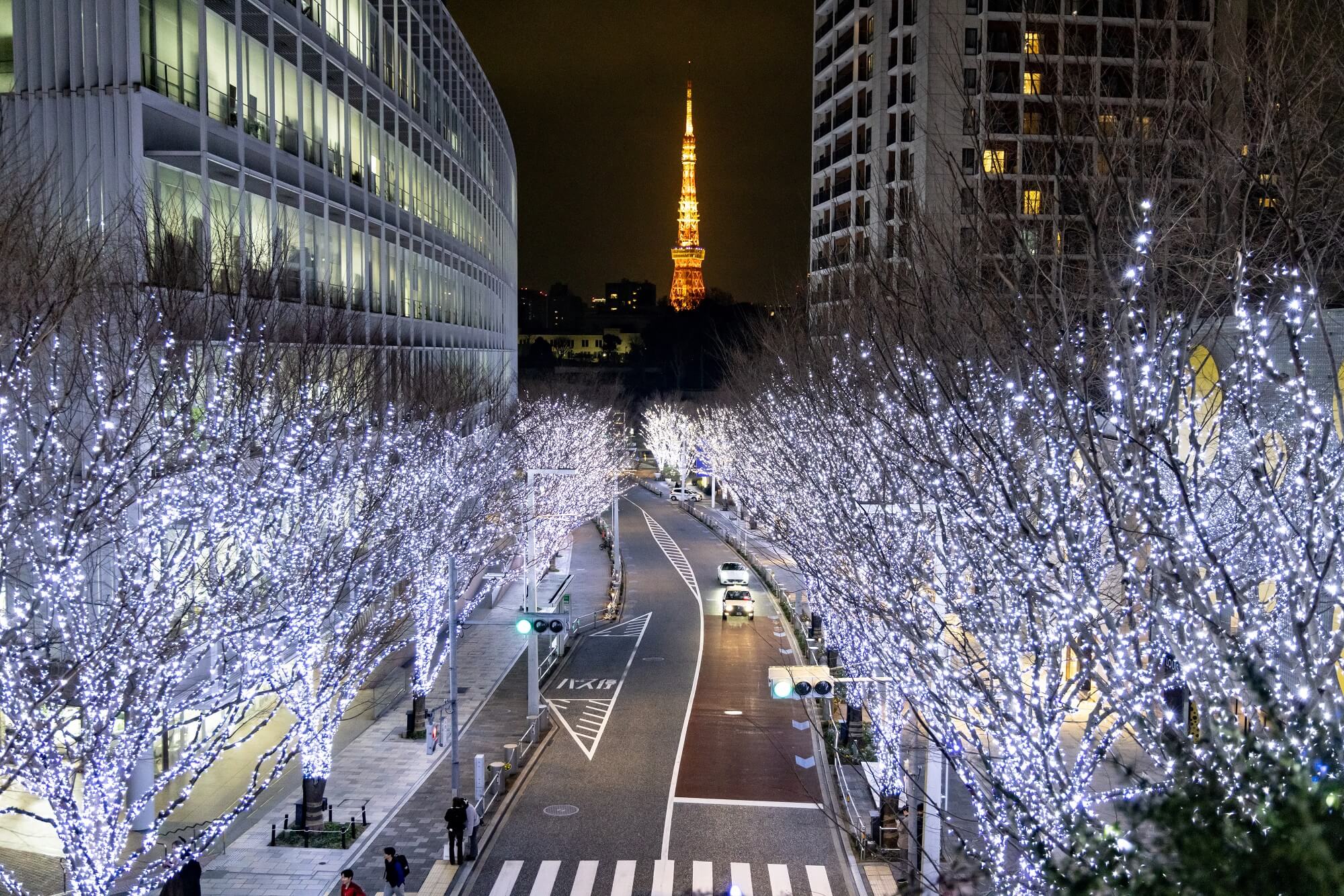 東京 イルミネーション