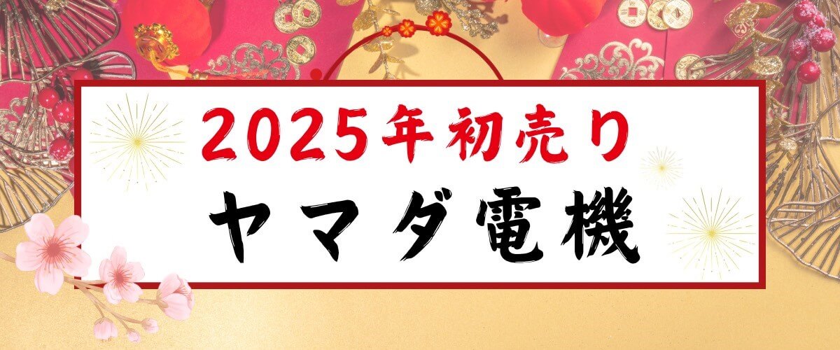 ヤマダ電機初売り2025_ラインナップ(3)