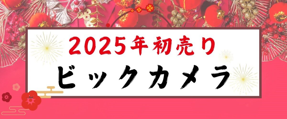 ビックカメラ初売り2025_ラインナップ
