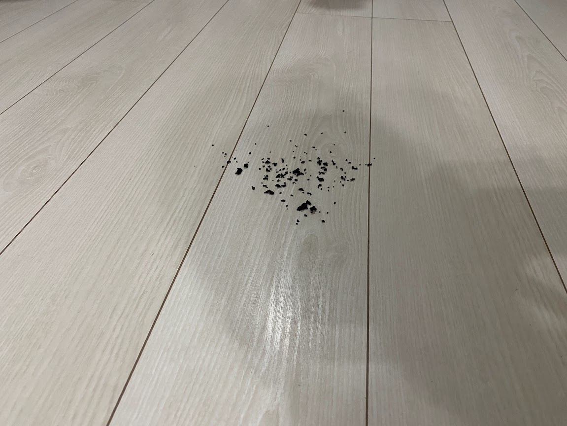 床にこぼれたコーヒーの粉