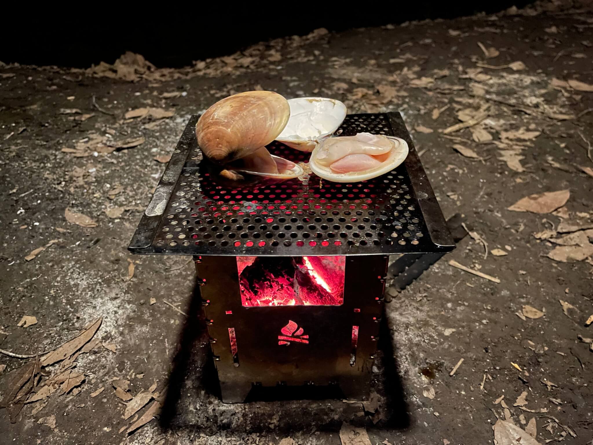 焼き網1