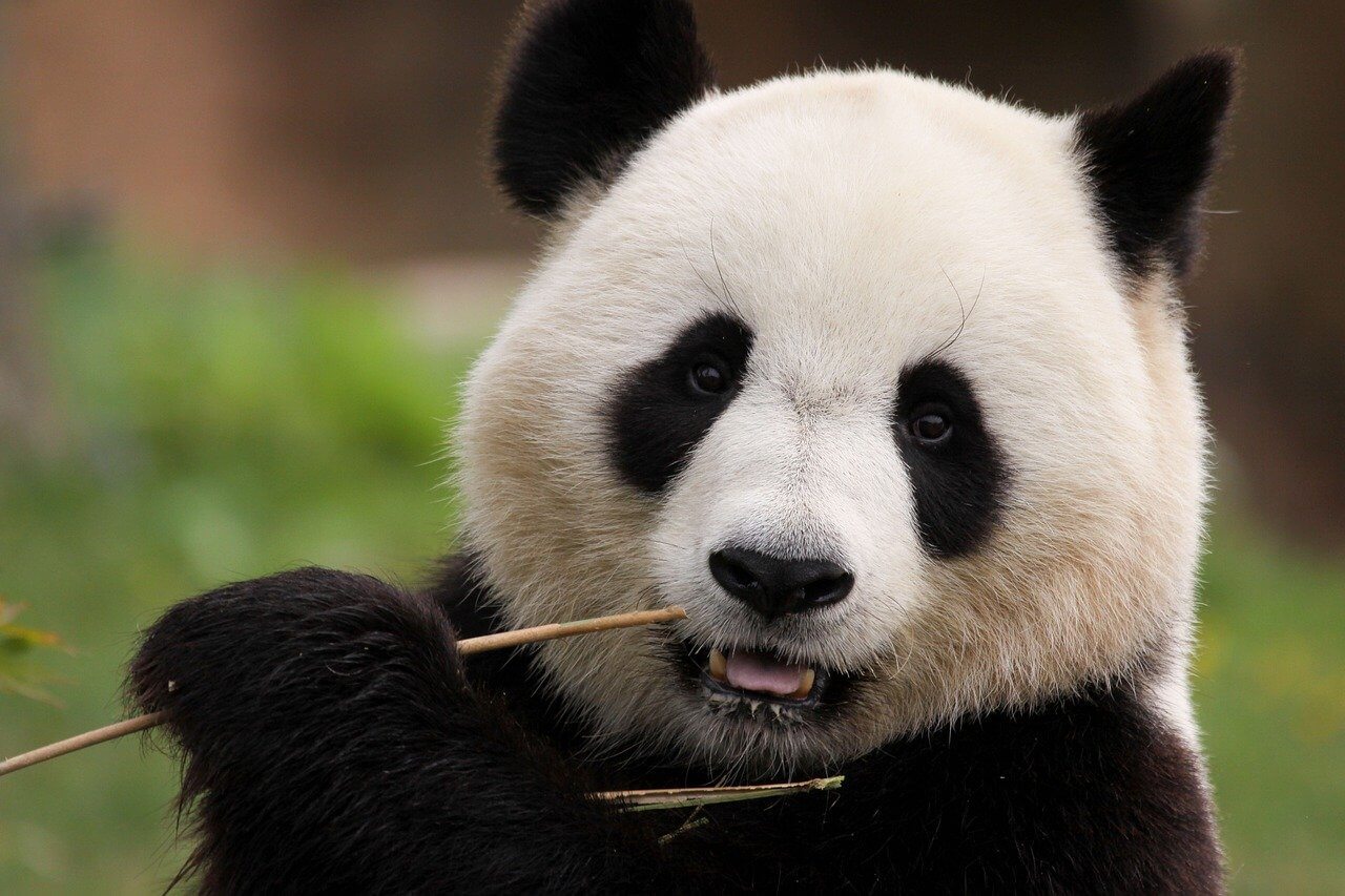 【まとめ】中国の物価は日本より高い！賢く節約して中国旅行を満喫しよう