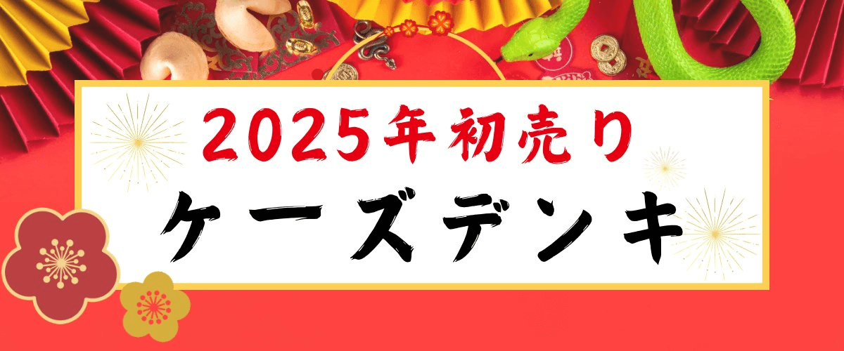 ケーズデンキ初売り2025_ラインナップ
