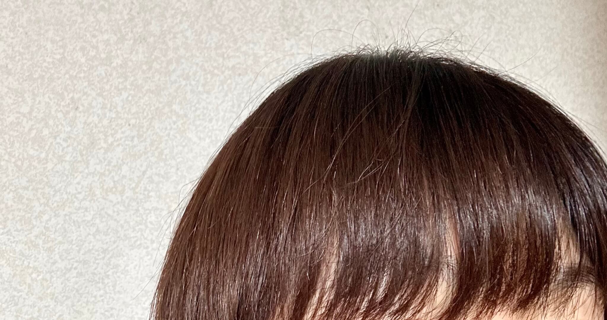 パナソニック ヘアードライヤー ナノケア EH-NC80 使用後