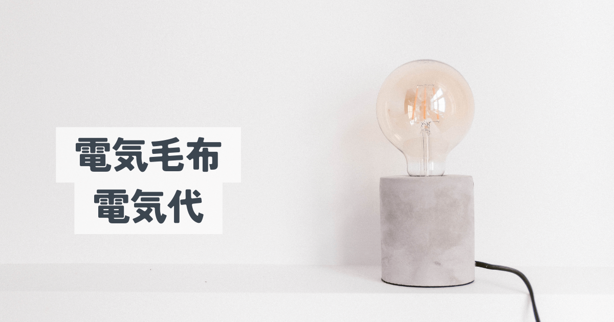 電気毛布の電気代