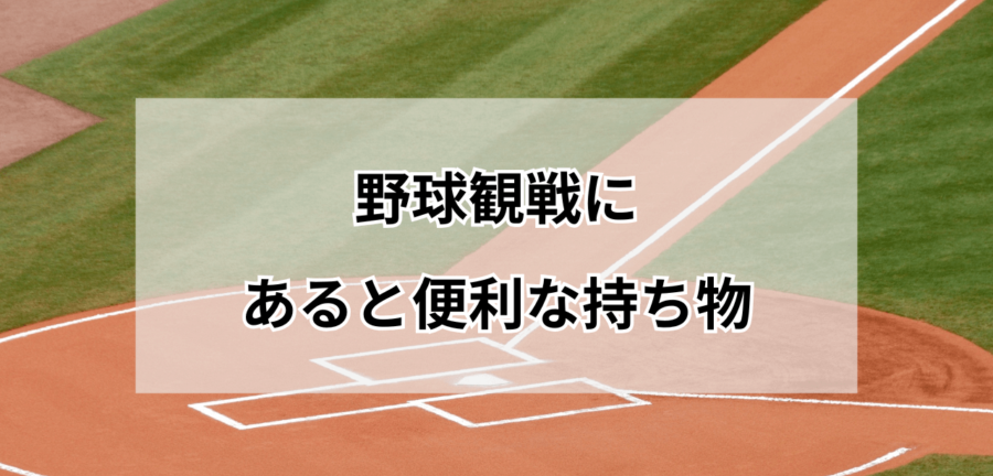 野球観戦にあると便利な持ち物リスト