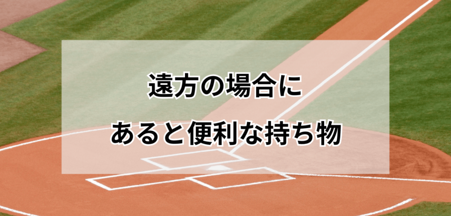 野球観戦で遠方の場合にあると便利な持ち物リスト