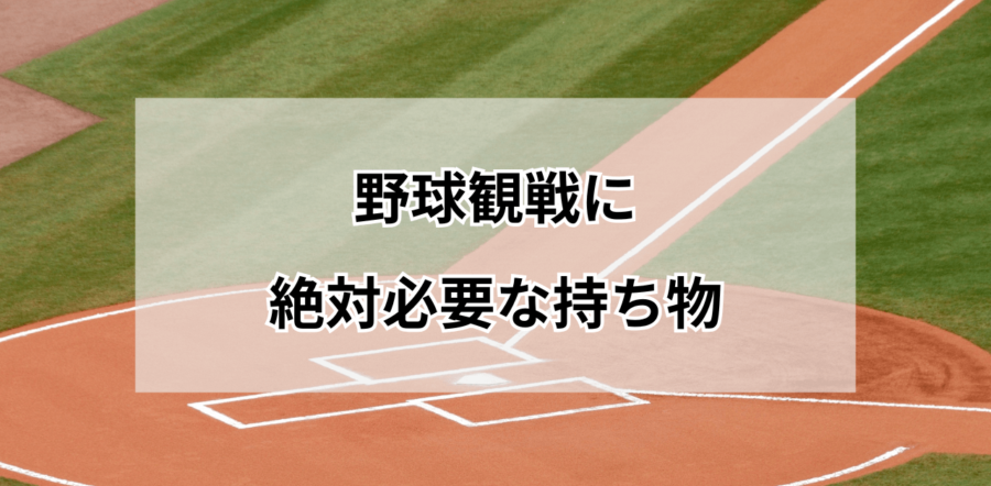 野球観戦に絶対必要な持ち物リスト